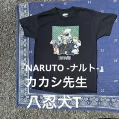 02 ナルト　naruto カカシ　VIZMEDIA アニメT 少年ジャンプ