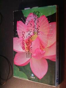 般若心経二六二文字の宇宙 (小学館文庫) ひろさちや