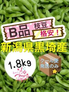 20 枝豆　格安【B品1.8kg】農家直送　新潟県黒埼産　えだまめ