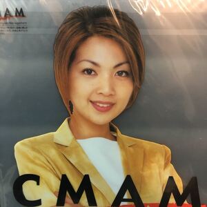 未使用★飯島直子　非売品クリアファイル 　CMAM　中央三井アセットマネジメント★