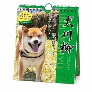 壁掛け＆卓上カレンダー2025年 犬川柳 週めくり 2025Calendar いぬ APJ スケジュール