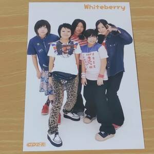 レアWhiteberryポストカード雑誌付録 CDでーた ホワイトベリー夏祭りYUKIガールズバンド前田由紀2000年頃の音楽雑誌ホワイトベリーCDデータ