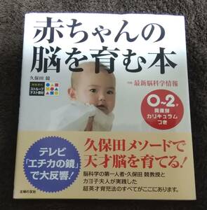 赤ちゃんの脳を育む本 久保田メソード 美品 おまけ付き