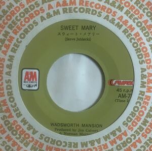 日本盤 Wadsworth Mansion - Sweet Mary / What