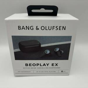 BANG & OLUFSEN BEOPLAY EX 動作確認済み 不具合あり（説明文必読）