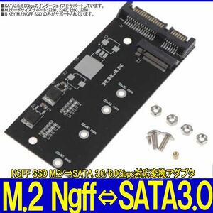 新品良品即決■送料無料 NGFF SSD M.2/⇒SATA 3.0/6.0Gbps対応 変換アダプタ