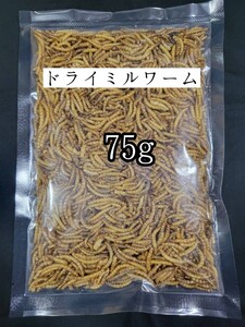 ドライミルワーム75g 小動物 爬虫類 ハムスター フクロモモンガ ハリネズミ トカゲ 鳥類 鶏 アクアリウム