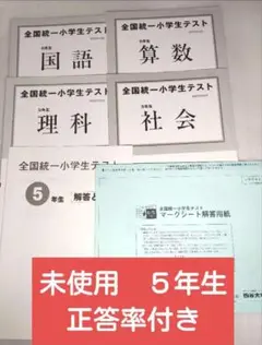 全国統一小学生テスト