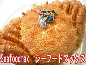 【Max】北海道産 毛ガニ 約550g-650ｇボイル 極上 堅蟹３特