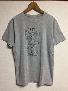 ANTI HERO SKATEBOARDS アンタイ ヒーロー Tシャツ クリス リンディグ グレー M