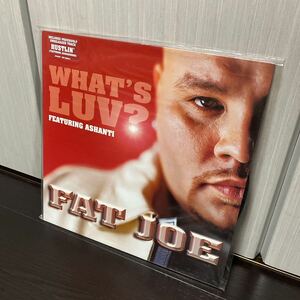 FAT JOE レコード　LP アナログ　WHAT