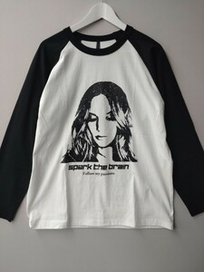 美品　ヒスっぽいプリントTシャツ ロンT