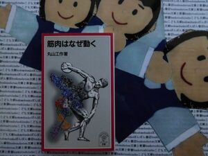 岩波ジュニア新書NO.383 筋肉はなぜ動く　丸山工作　動物　蛋白質　現代生物科学