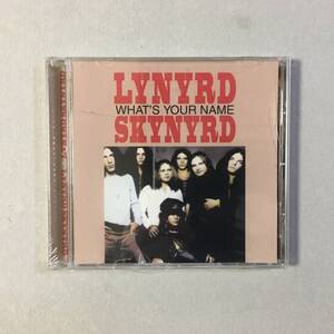 LYNYRD SKYNYRD WHAT