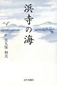 浜寺の海/大久保利夫(著者)