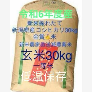 新潟県産米 一等米 金賞 低温 魚沼産より美味しい令和6年度産 農家直送 新米 玄米 コシヒカリ 30kg キロ 減農薬米 健康 新潟市西蒲区 2024