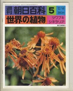 【d8886】75.12.14 週刊朝日百科「世界の植物」５／ツワブキ、シネラリア、… 