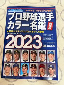 中古雑誌 日刊スポーツマガジン プロ野球選手カラー名鑑2023 保存版