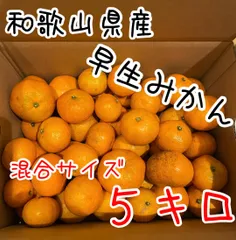 和歌山県産　早生みかん5キロ　混合サイズ　訳アリ