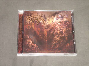 HETERADELPHY/INDUNDATED WITH DECOMPOSED TORSOS/BRUTAL DEATH METAL/ブルータル・デス・メタル/ブルデスGOREPOPT/MAGGOT COLONY