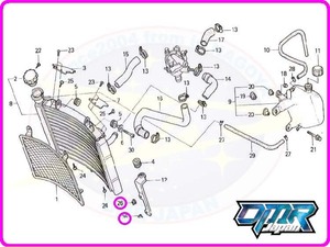 【新品】 フランジナット (ラジエターステー) NSR250R MC21 MC28