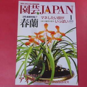 YN4-241219☆園芸JAPAN 2018年1月号　アオキ 春蘭 ※ 自然と野生ラン