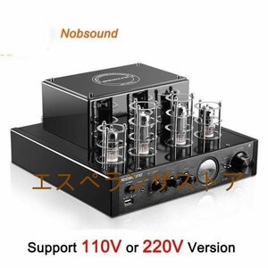 [エスペランザストア]MS-10D MKII 真空管アンプ 真空アンプ MKII USBアンプ 220V MS 10Dアンプ