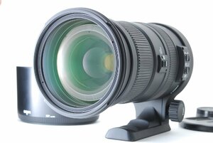 SIGMA シグマ APO 50-500mm F4.5-6.3 DG OS HSM Nikon ニコン (500-b205)