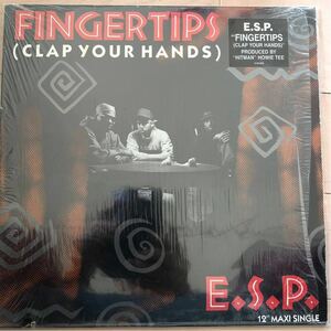 ■ E.S.P. / FINGERTIPS■ 1992年 盤質良好 Howie Teeプロデュース！