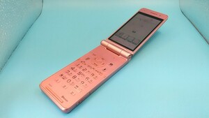 K765 docomo FOMA P-01F Panasonic ガラケー/ケータイ/パナソニック 簡易動作確認＆簡易清掃＆初期化OK 判定○ 現状品 送料無料　