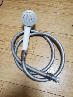 TOTO THYC48 shower head & hose