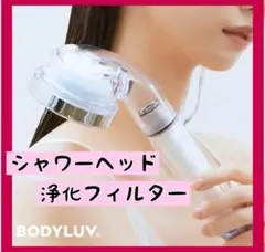 BodyluvVita ピュアサム シャワーヘッド浄化 フィルター カートリッジ