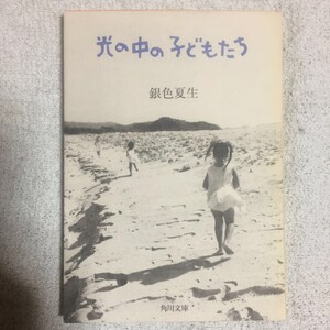 光の中の子どもたち (角川文庫) 銀色 夏生 9784041673188