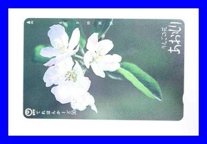 ●新品未使用 テレホンカード りんごの花 テレカ T0126