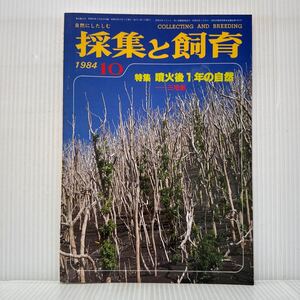 採集と飼育 1984年10月号★特集 噴火後1年の自然/三宅島/噴火から10ヶ月/海中の溶岩にも生物がよみがえる/自然にしたしむ