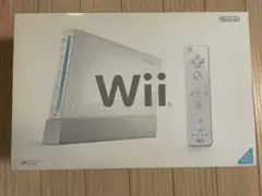 Nintendo Wii RVL-S-WA