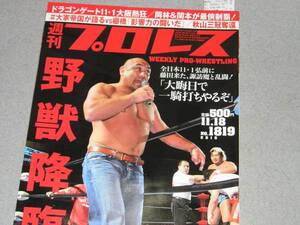 週刊プロレス2015.11.18カール・アンダーソン遠藤哲哉