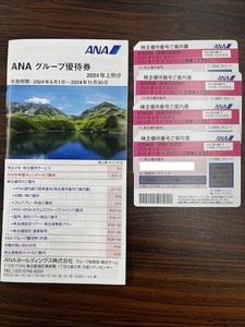 全日空(ＡＮＡ)株主優待券４枚 + グループ優待券１冊☆送料無料