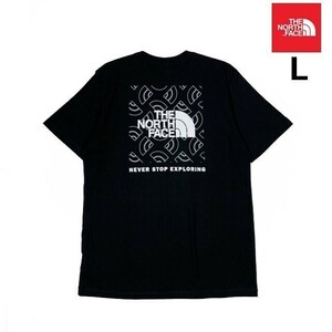 1円～!売切!【正規新品】THE NORTH FACE◆S/S BOX NSE TEE 半袖 Tシャツ US限定 ボックスロゴ グラフィック 男女兼用 登山(L)黒 180902-15