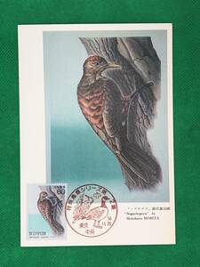 002743) 特殊鳥類 第2集 ノグチゲラ 全日本郵便切手普及協会　マシマムカード MC 初日 ポスクロ