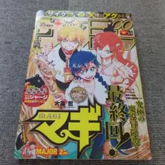 週刊少年サンデー2017年No.46Magi マギ 最終回