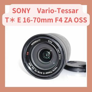 SONY Vario-Tessar T＊ E 16-70mm F4 ZA OSS