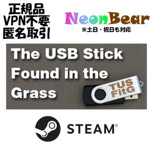 The USB Stick Found in the Grass Steam製品コード