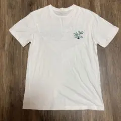 パタゴニア　パタロハ　ハワイ　Tシャツ　sサイズ