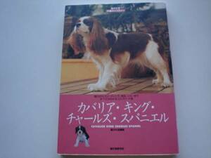 ※犬種ライブラリー　カバリア・キング・チャールズ・スパニエル