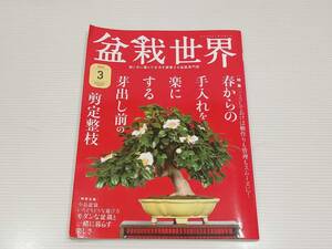 盆栽世界　ぼんさいせかい　2022年３月号