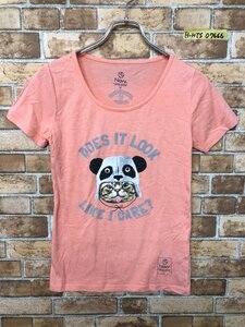 Navy × David&Goliath レディース パンダキャット プリント 半袖Tシャツ M ピンク ポリエステル綿