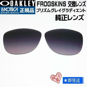 ■9245用交換レンズ■純正品レンズ 9245-D0レンズ フロッグスキン