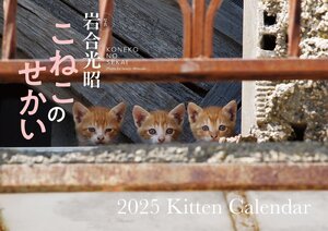 【S17】　こねこのせかい　2025　Kitten Calendar (永岡書店のカレンダー)