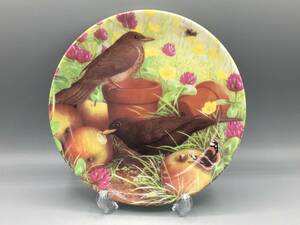 コールポート 鳥 飾り皿 絵皿 皿 ウェッジウッド に統合 Fruit Feast (762)